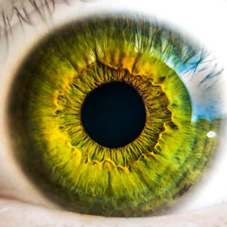 Здоровье глаз и почему ухудшается зрение