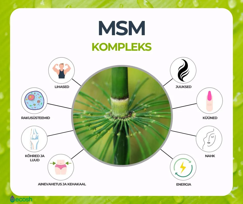 MSM-orgaaniline-väävel-MSM-kompleks-Ecosh