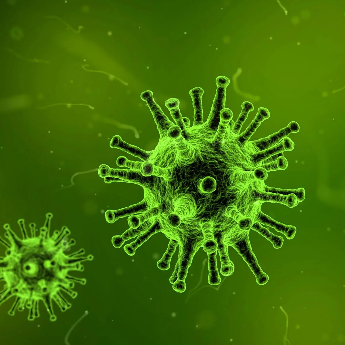 Read more about the article Soovid terveneda? Alusta rakutasandilt!