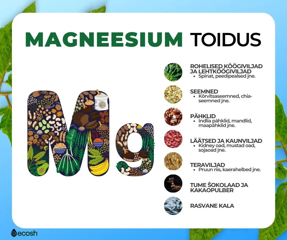 Magneesium_toidus_Magneesiumirikkad_toidud_Magneesiumi_toiduallikad-Ecosh
