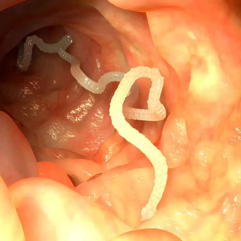 Read more about the article PARASIIDID ORGANISMIS