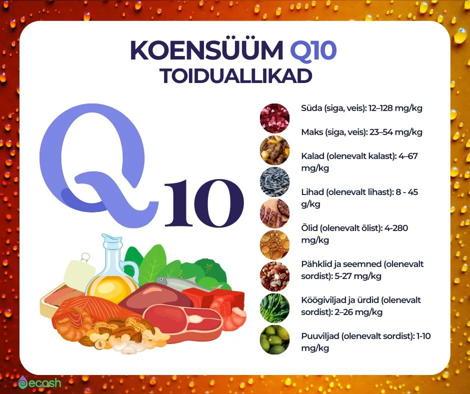 Q10_toiduallikad_Koensüüm_Q10_Ubikinooni_allikad_Ubikinooli_allikad_Vitamiin_Q10_toidus-Ecosh