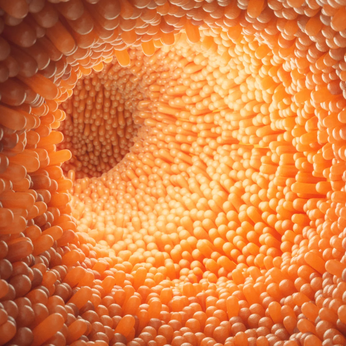 Read more about the article SOOLESTIKU MIKROFLOORA ja seal elutsevate bakterite roll inimorganismis