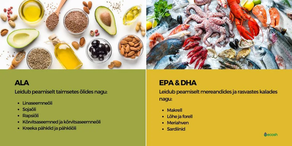 Oomega-3-rasvhapped_ALA_EPA_DHA-rasvhapped_toidus-Omega-3-kalaõli-kalamaksaõli-ECOSH