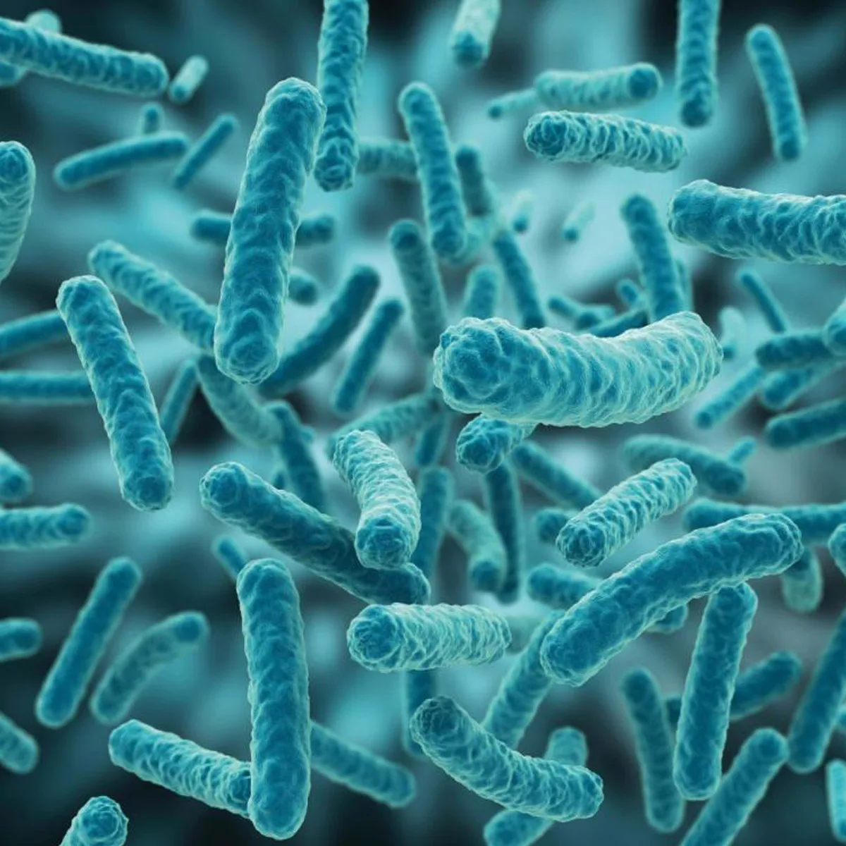 Read more about the article PROBIOOTIKUMID – nende peamised liigid, erinevused ja 40 võimalikku tervisekasu