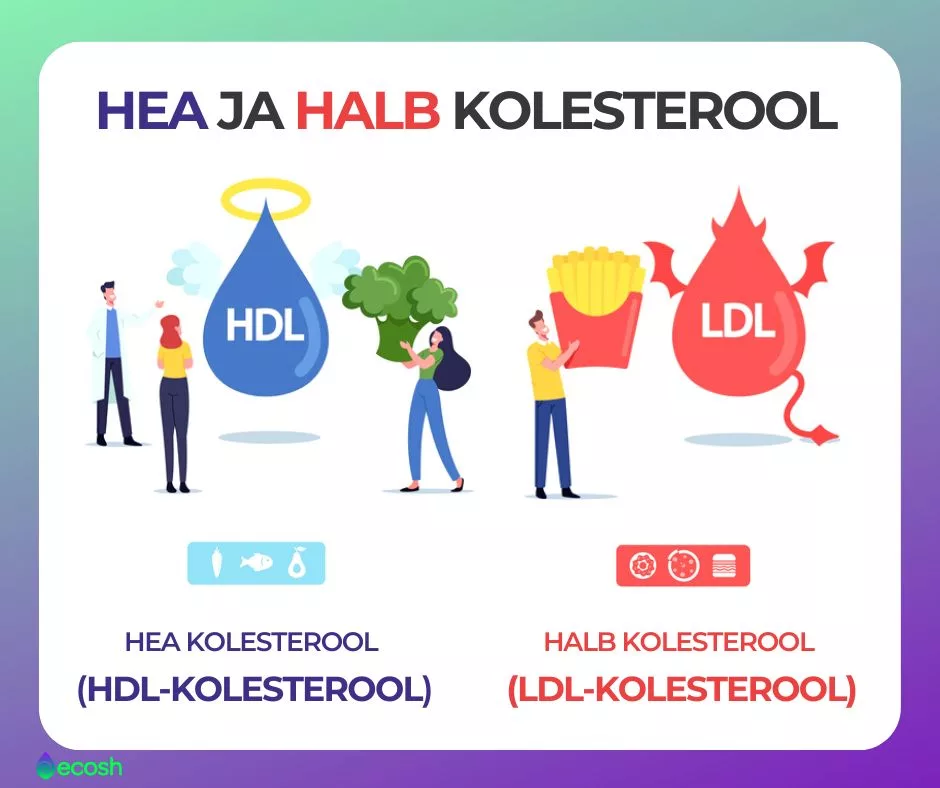 HDL_KOLESTEROOL_LDL_KOLESTEROOL_Hea_ja_halb_kolesterool