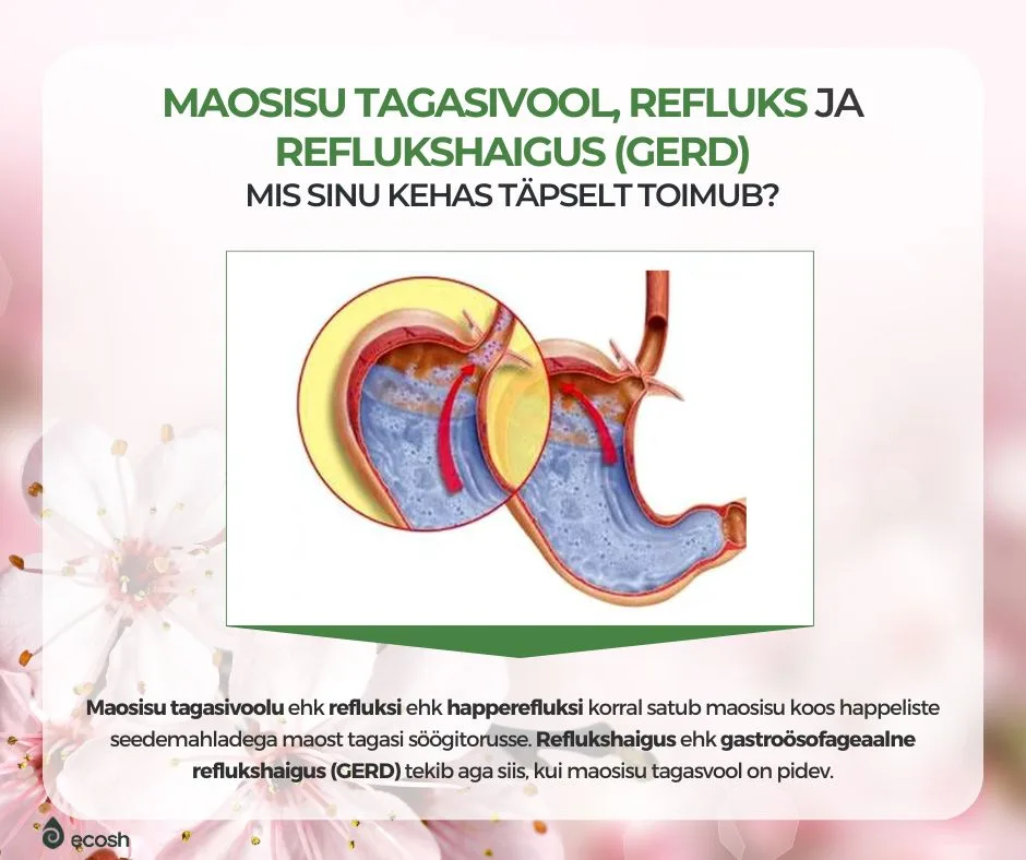 ECOSH-Maosisu-tagasivool-refluks-ja-reflukshaigus