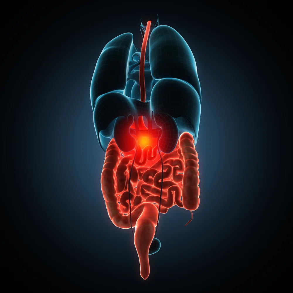 Read more about the article KOLIIT JA CROHNI TÕBI – kroonilised soolepõletikud