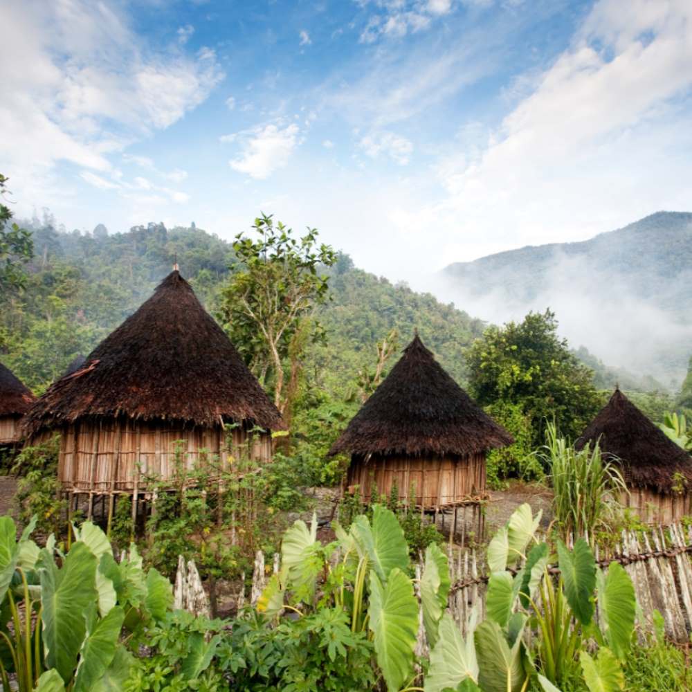 Read more about the article PARASIIDID – reisides lõunamaadesse, ole teadlik parasiitidest!