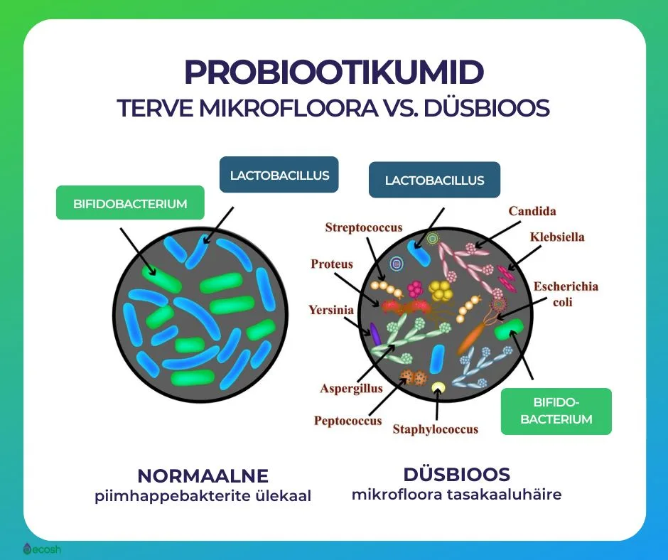 ECOSH - Probiootikumid_immuunsüsteemile_Inimese_normaalne_mikrofloora_vs_düsbioos