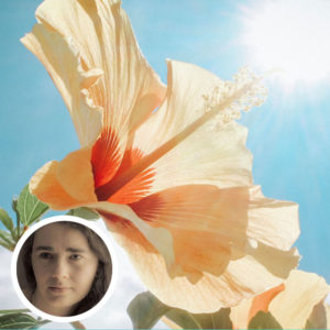 Agnes Laine