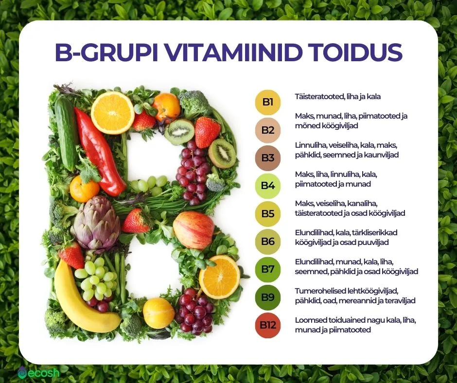 ECOSH-B-Grupi_vitamiinid_toidus_B-vitamiinide_toiduallikad