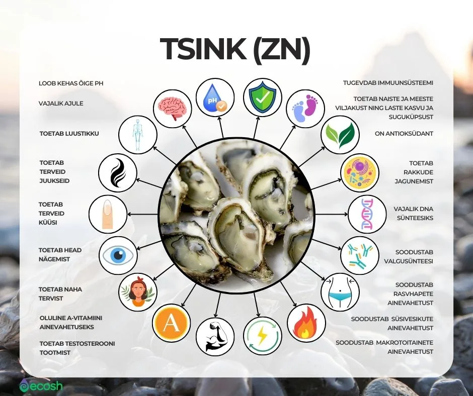 ECOSH-Tsink_tsingi_rollid_inimkehas_tsingi_tervisekasud_tsingi_kasulikkus