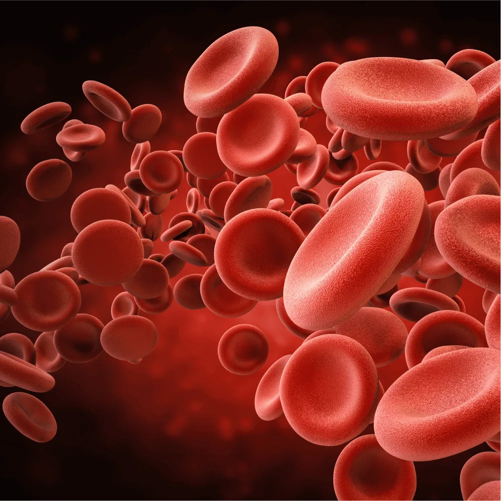 Read more about the article KURKUMIIN – vähendab põletikke, puhastab ja korrastab rakke