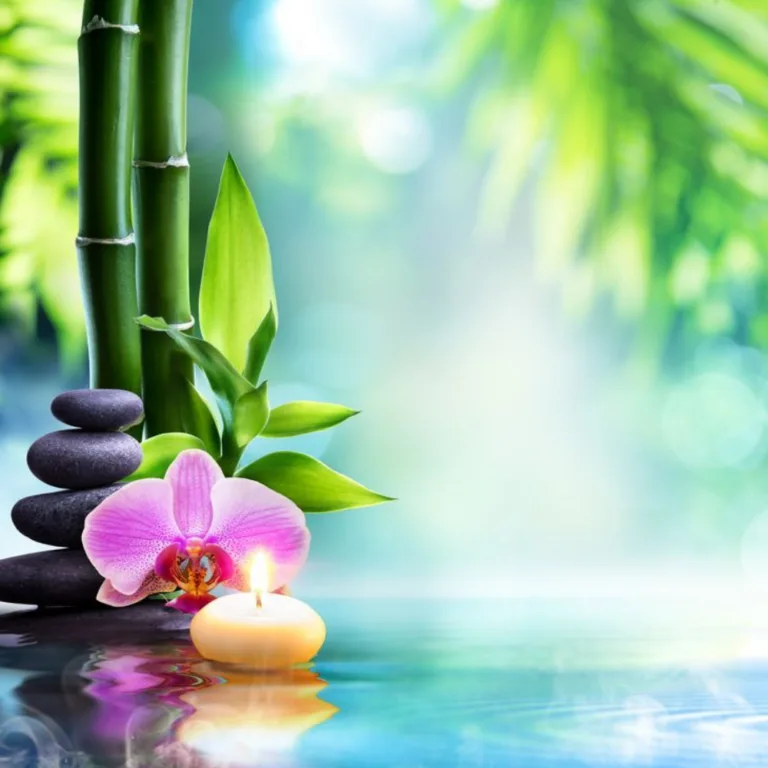 Read more about the article Miks tekib stress ja kuidas sellega toime tulla?