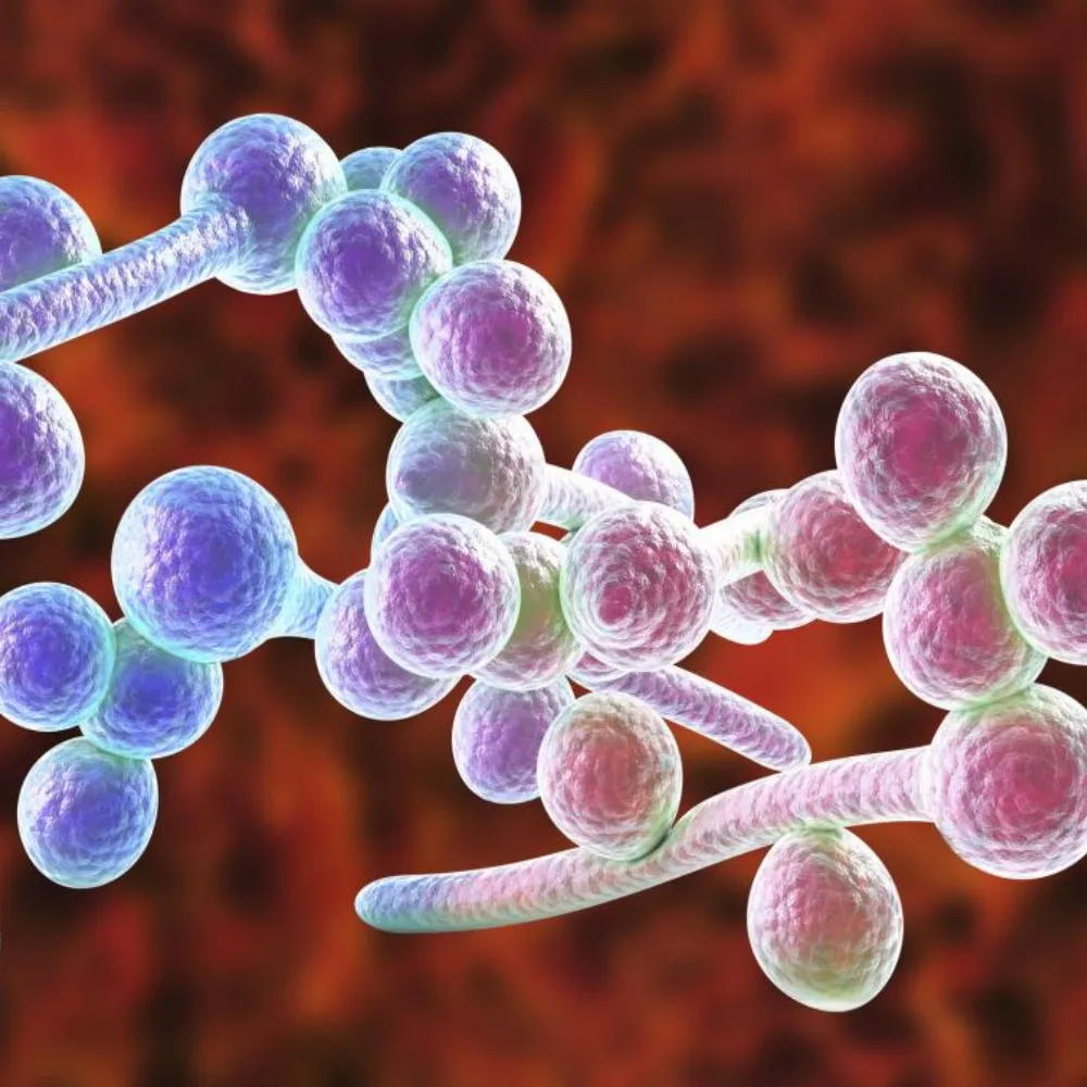 Read more about the article KANDIDOOS EHK KANDIDAAS – sümptomid, põhjustajad ja kuidas vabaneda pärmseenest?