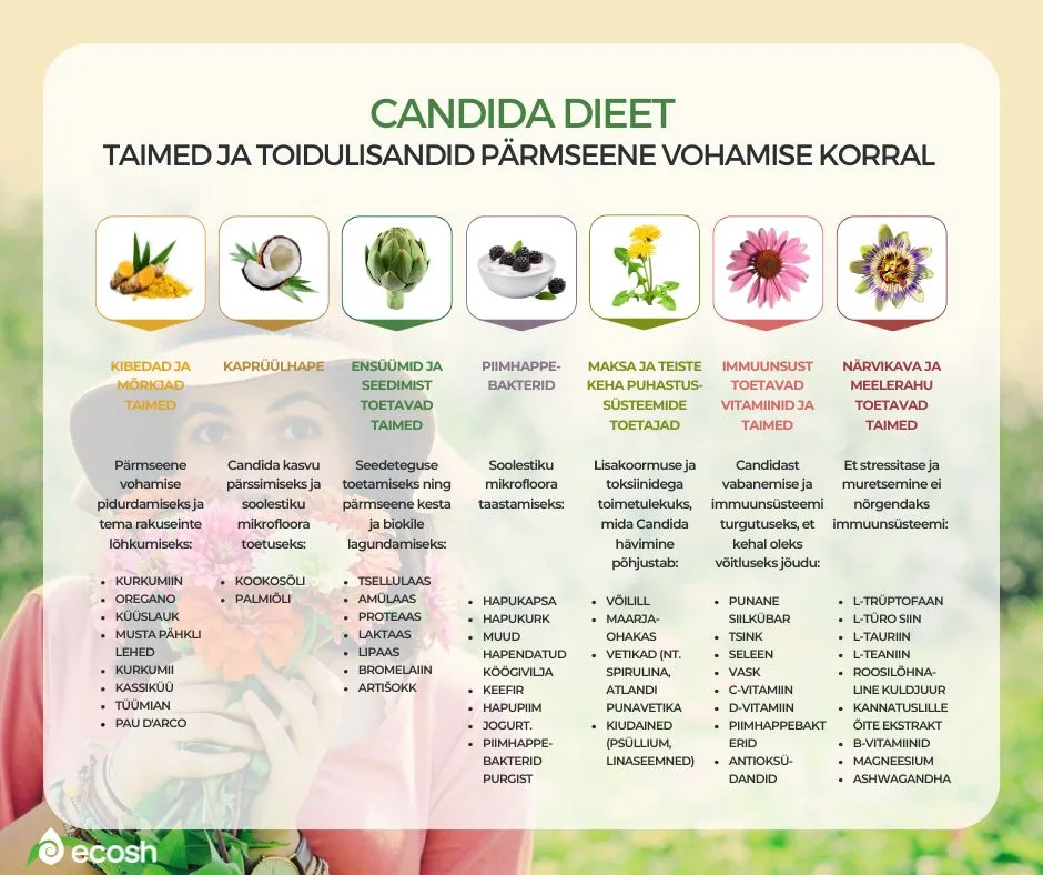 ECOSH_Candida_dieet_millised_taimed_ja_toidulisandid_Candida_nakkuse_korral