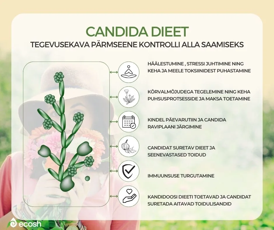ECOSH_Candida_dieet_tegevuskava_pärmseene_kontrolli_alla_saamiseks