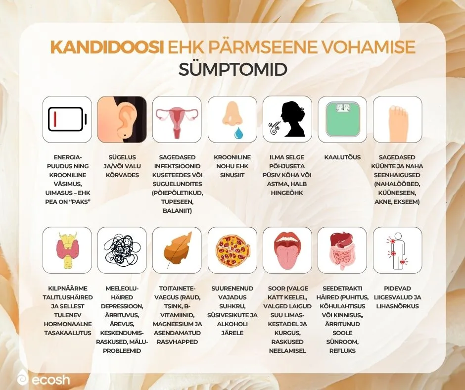 ECOSH_Kandidoos_ehk_pärmseene_nakkus_sümptomid_ja_tunnused