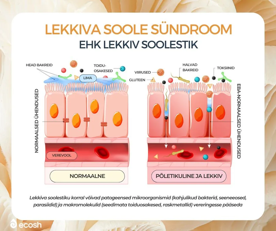 ECOSH_Kandidoos_võb_põhjustada_lekkiva_sooletsiku_sündroomi_ehk_lekkivat_sooletsikku