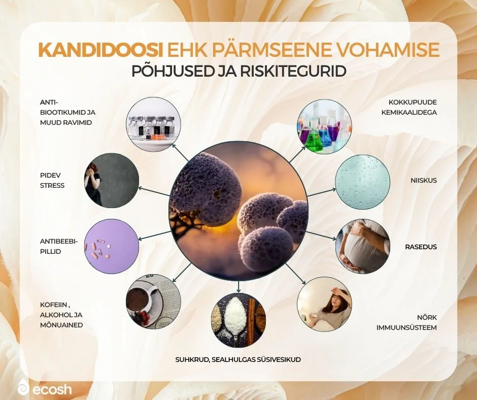 ECOSH_Kandidoosi_ehk_pärmseene_vohamise_põhjused_ja_riskitegurid