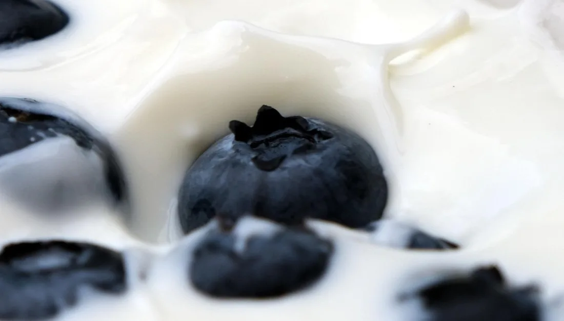 Kasulikke_baktereid_ehk_eluskultuure_sisaldavad_piimatooted_on_keefir_ja_jogurt