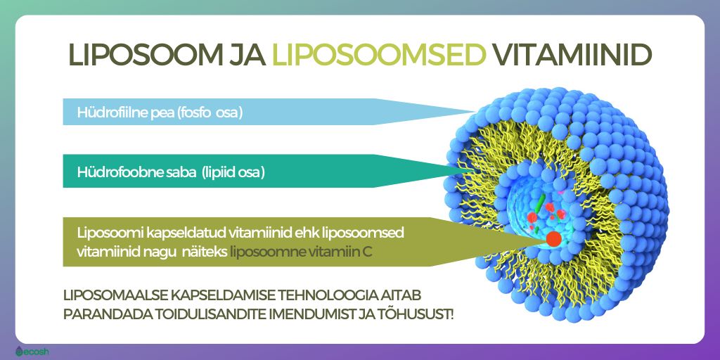 Mis_on_liposoom_ja_mis_on_liposoomne_vitamiin