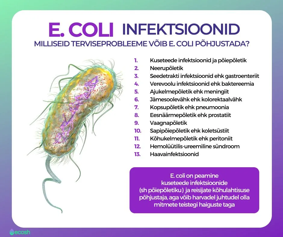 E. coli_infektsioonid_ehk_milliseid_haiguseid_võib_kolibakter_põhjustada-ECOSH
