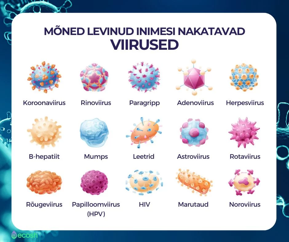 Ecosh - VIIRUSED-Mõned_levinud_inimesi_nakatavad_viirused