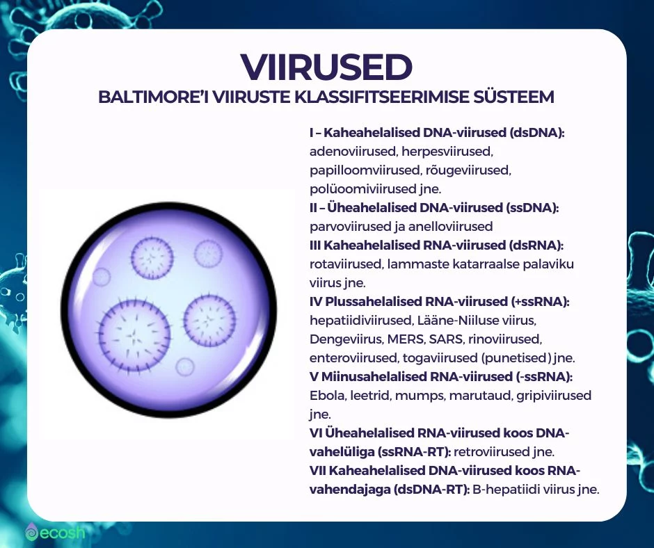 Ecosh - Viirused-Viiruste_tüübid_Baltimore’i_viiruste_klassifitseerimise_süsteem_