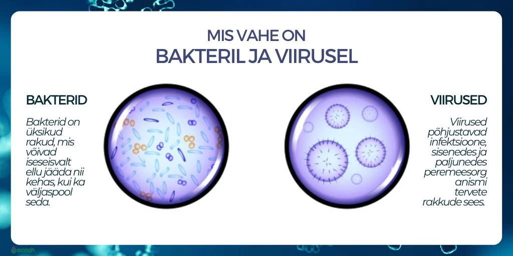 Mis_vahe_on_bakteril_ja_viirusel_ehk_bakter_vs_viirus