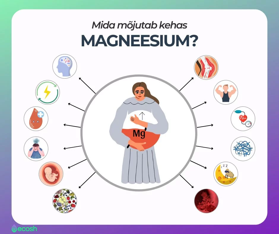 Magneesium_margneesiumi_rollid_ehk_funktsioonid_inimkehas