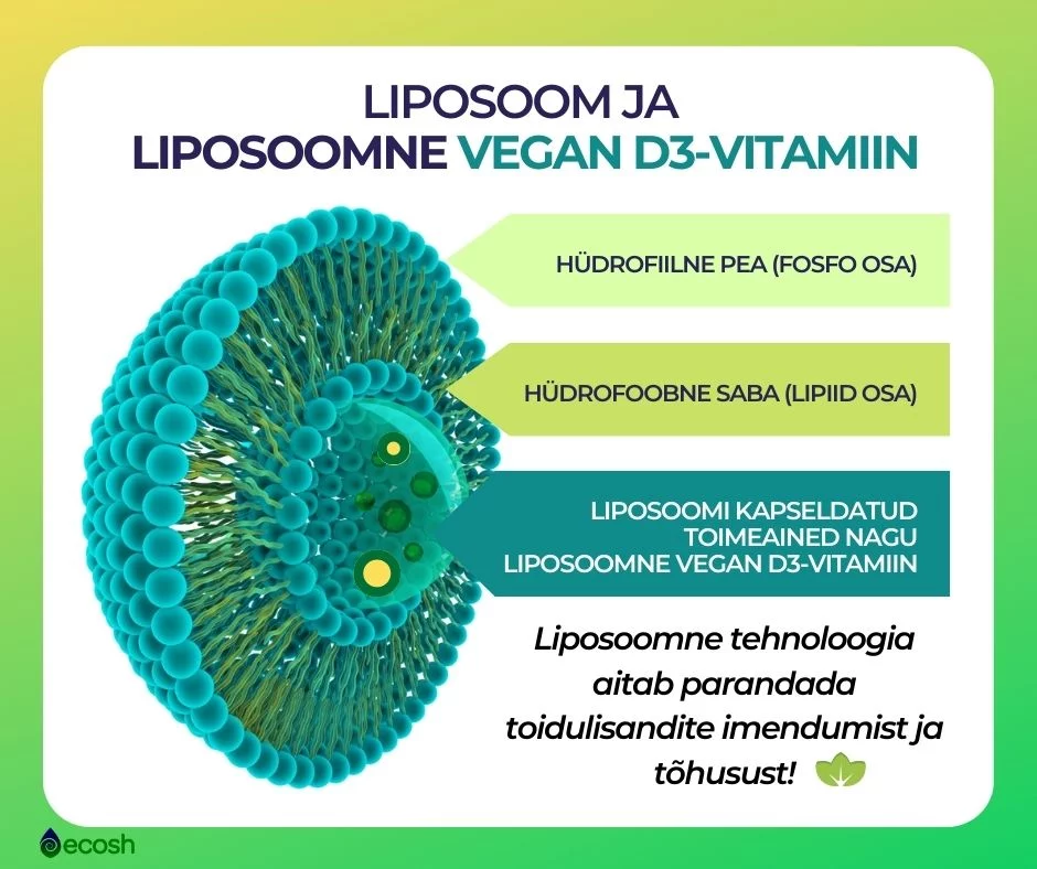 Liposoomi_ehitus_ja_liposoomne_vegan_D3-vitamiin