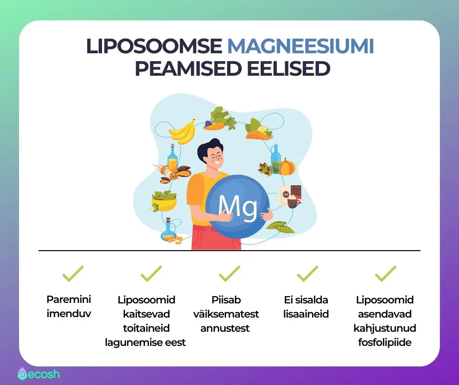 Liposoomsed_toidulisandid_ja_liposoomse_magneesiumi_eelised