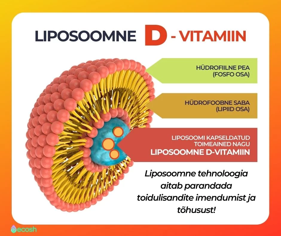 Ecosh - D-vitamiin_Liposoomne_D_vitamiin_liposoomne_D3_vitamiin