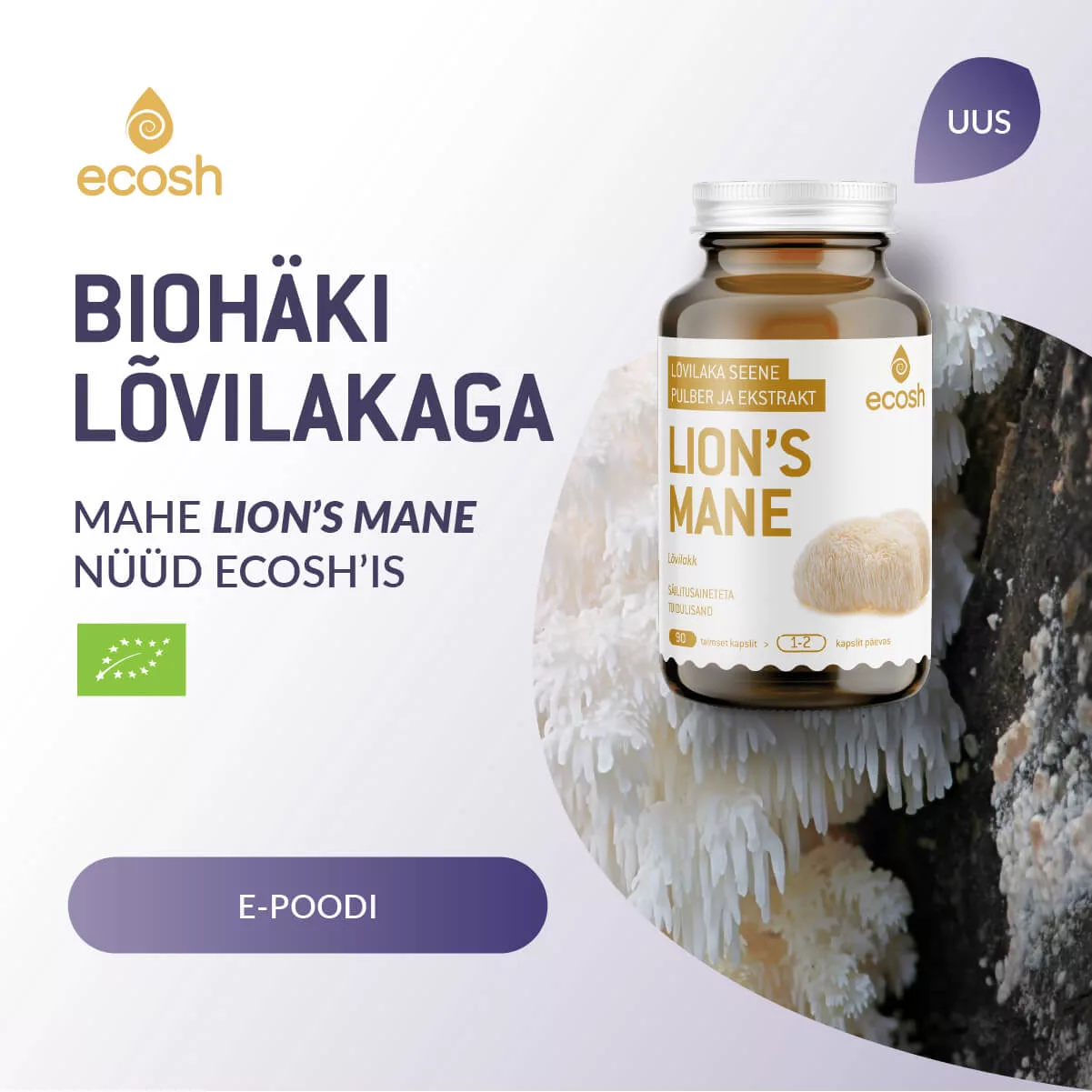 LionsMane_ruut01 (1)