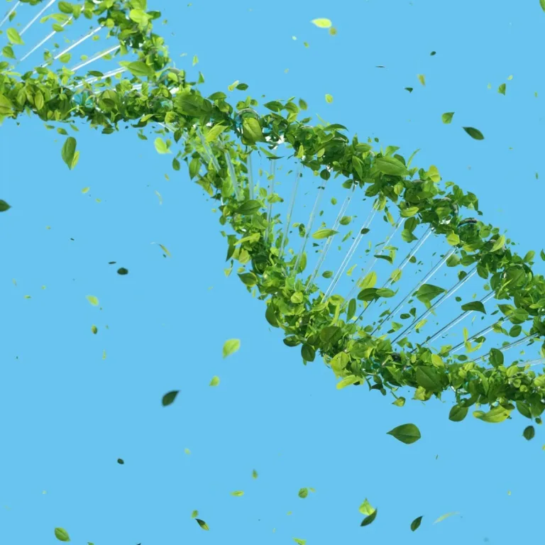 Read more about the article OKSÜDATIIVNE STRESS – põhjused, tagajärjed ja looduslikud viisid kuidas oma keha oksüdatiivse stressi eest kaitsta