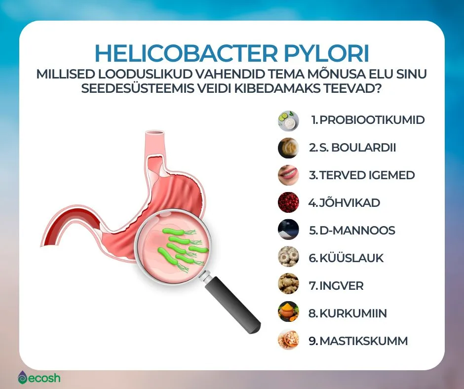 ECOSH-Helicobacter_pylori_looduslik_ravi_ehk_helikobakteri_looduslik_ravi