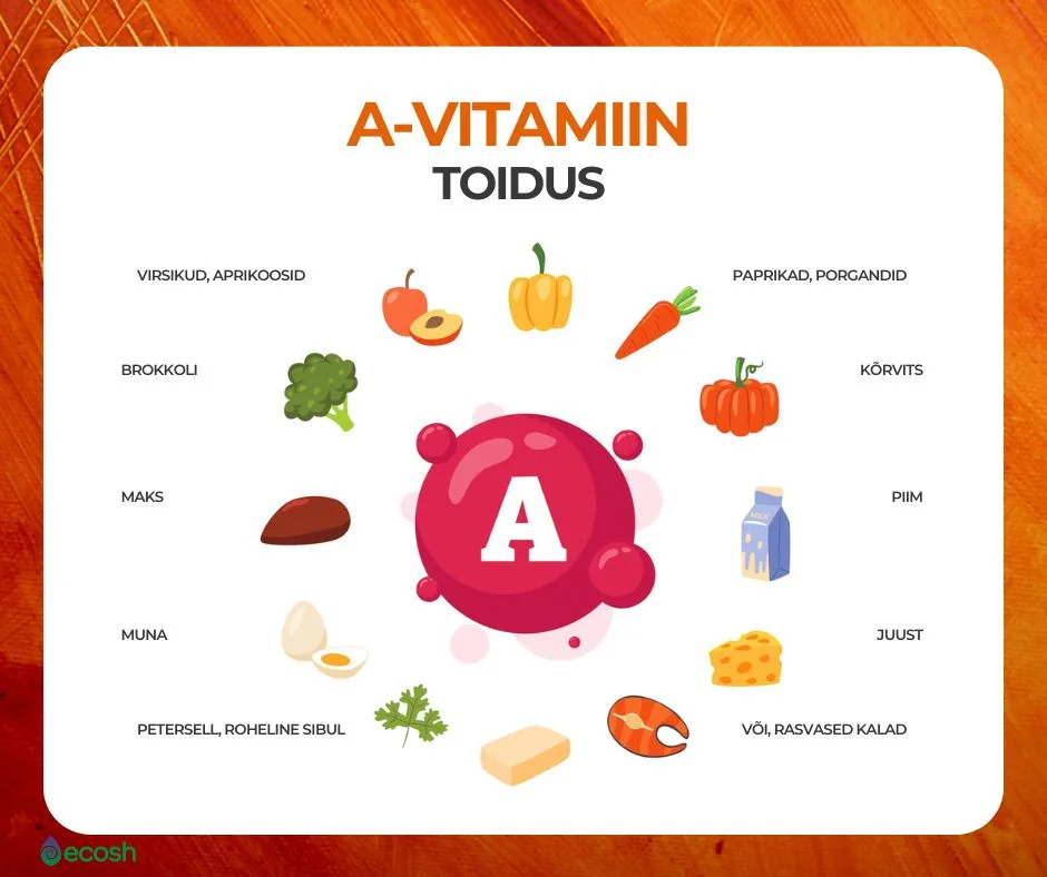 ECOSH-A-vtamiini_allikad_A-vitamiin-toidus