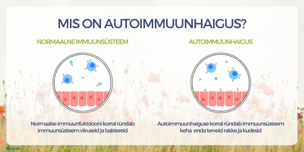 ECOSH-Mis-on-autoimmuunhaigus