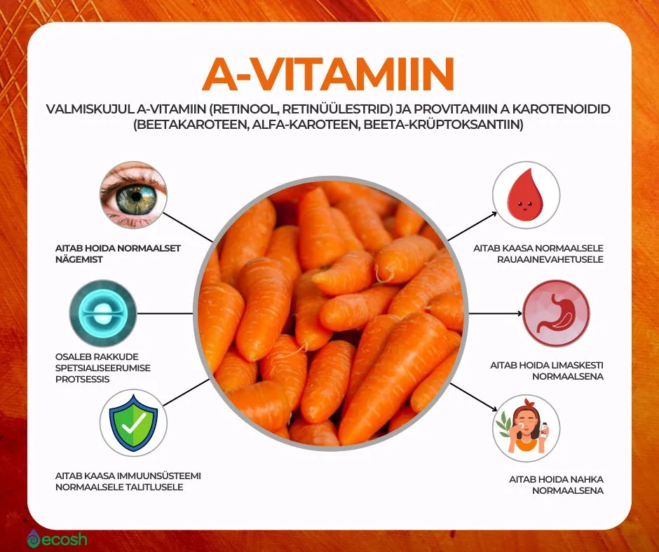 ECOSH_A-vitamiin_Valmiskujul A-vitamiin (retinool, retinüülestrid) ja Provitamiin A karotenoidid (beetakaroteen, alfa-karoteen, beeta-krüptoksantiin)