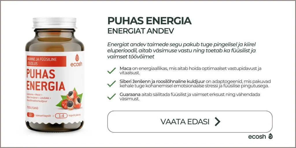 ECOSH-PUHAS ENERGIA-energiat andev
