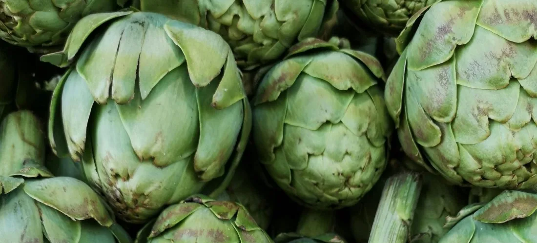 Artišokid_Cynara scolymus