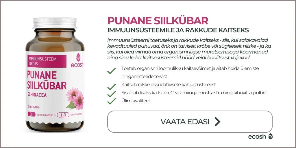 ECOSH_Punane_siilkübar_Echinacea_purpurea_immuunsüsteemile_ja_rakkude_kaitseks