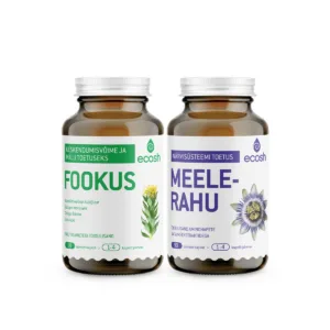 Tagasi fookusesse: Fookus + Meelerahu