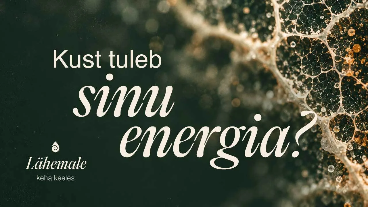 Me räägime energiast sageli kui tundest: kas ma jaksan või ei jaksa. Keha jaoks tähendab energia aga võimet liikuda, mõelda, taastuda ja püsida tugevana läbi el